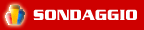 Sondaggio