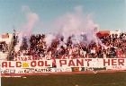 Monopoli-Salernitana 85-86